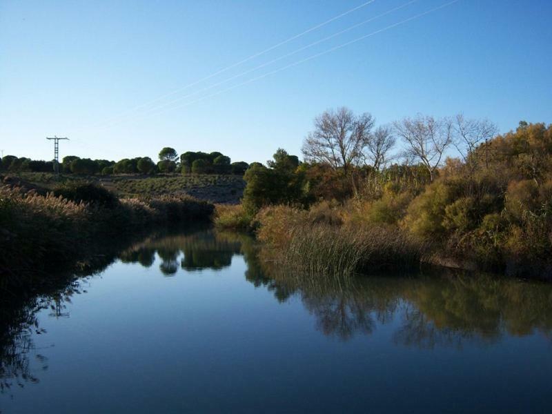Casa Rural Parajes Del Jucar Casas de Benítez Esterno foto