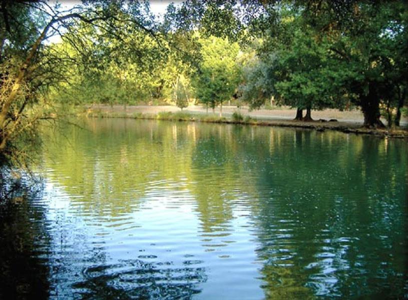 Casa Rural Parajes Del Jucar Casas de Benítez Esterno foto